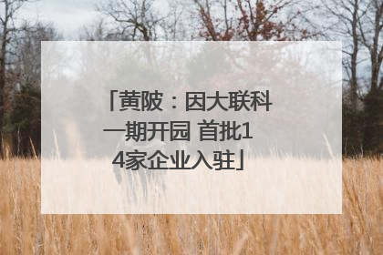 黄陂：因大联科一期开园 首批14家企业入驻