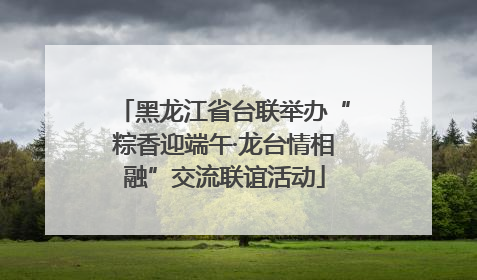 黑龙江省台联举办“粽香迎端午·龙台情相融”交流联谊活动