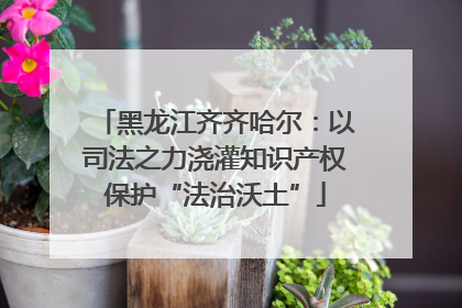 黑龙江齐齐哈尔：以司法之力浇灌知识产权保护“法治沃土”