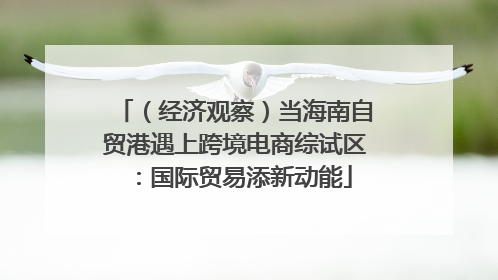 （经济观察）当海南自贸港遇上跨境电商综试区：国际贸易添新动能