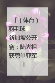 （体育）羽毛球——新加坡公开赛：陆光祖获男单亚军