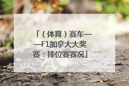 （体育）赛车——F1加拿大大奖赛：排位赛赛况