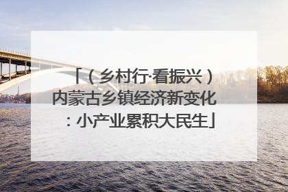 （乡村行·看振兴）内蒙古乡镇经济新变化：小产业累积大民生