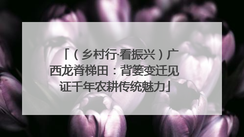 （乡村行·看振兴）广西龙脊梯田：背篓变迁见证千年农耕传统魅力