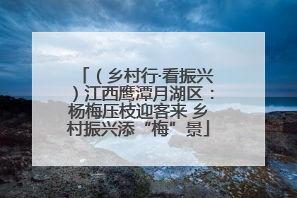 （乡村行·看振兴）江西鹰潭月湖区：杨梅压枝迎客来 乡村振兴添“梅”景