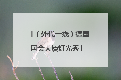 （外代一线）德国国会大厦灯光秀