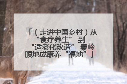 （走进中国乡村）从 “食疗养生” 到 “适老化改造” 秦岭腹地成康养“福地”