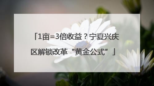 1亩=3倍收益？宁夏兴庆区解锁改革“黄金公式”