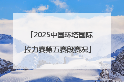 2025中国环塔国际拉力赛第五赛段赛况