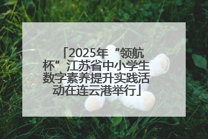 2025年“领航杯”江苏省中小学生数字素养提升实践活动在连云港举行