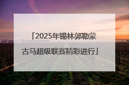 2025年锡林郭勒蒙古马超级联赛精彩进行