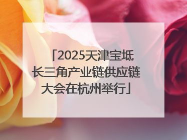 2025天津宝坻长三角产业链供应链大会在杭州举行