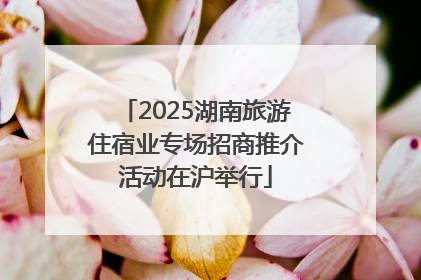 2025湖南旅游住宿业专场招商推介活动在沪举行
