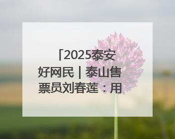 2025泰安好网民｜泰山售票员刘春莲：用专业与网络讲好泰山故事