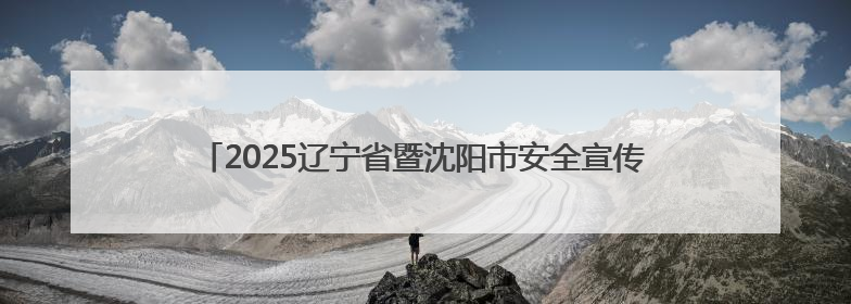 2025辽宁省暨沈阳市安全宣传咨询日“应急安全市集”火爆开市