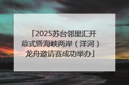2025苏台邻里汇开幕式暨海峡两岸（洋河）龙舟邀请赛成功举办