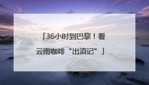 36小时到巴黎！看云南咖啡“出滇记”