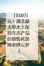 510万元！湖北最大单水土保持生态产品价值转化落地孝感云梦