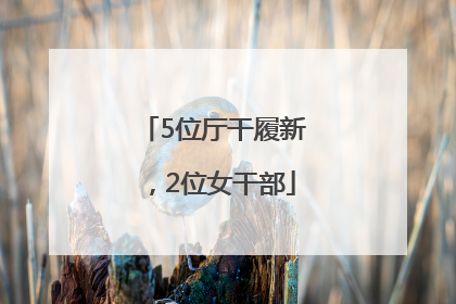 5位厅干履新，2位女干部