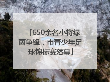 650余名小将绿茵争锋，市青少年足球锦标赛落幕