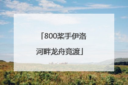 800桨手伊洛河畔龙舟竞渡