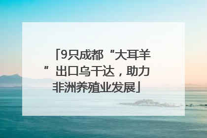9只成都“大耳羊”出口乌干达，助力非洲养殖业发展