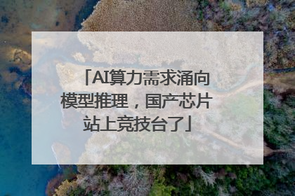AI算力需求涌向模型推理，国产芯片站上竞技台了